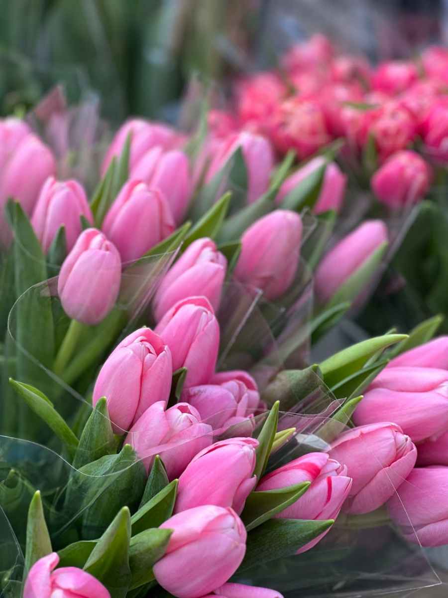 Happiness is a Bunch of&nbsp;Tulips